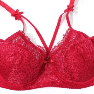 Roter Großhandel mit transparentem Mesh-BH und Slips mit mittelhoher Taille. BH-Show